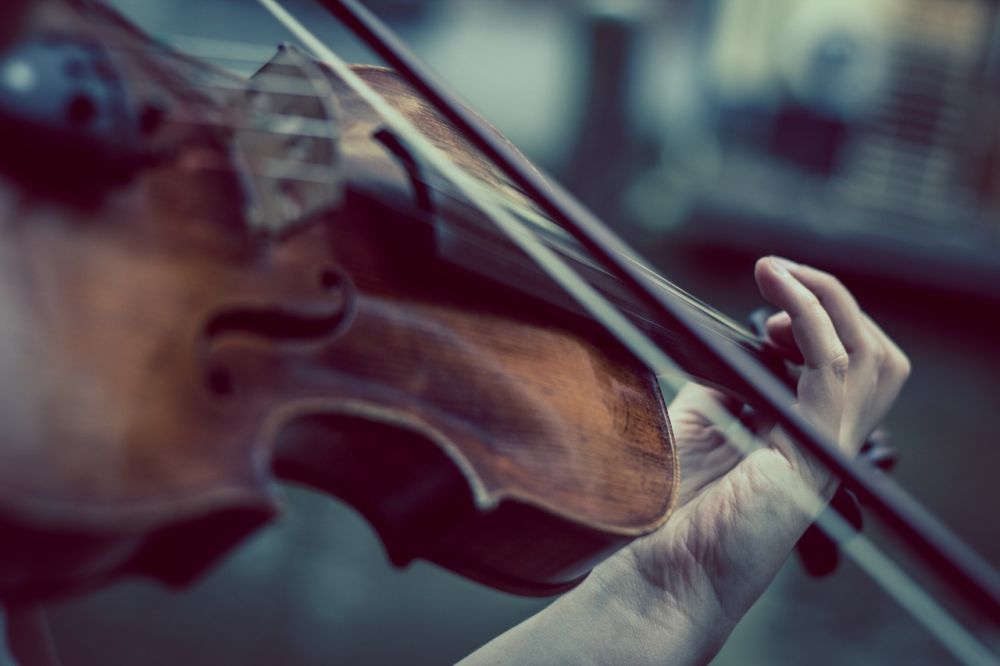 Violinbygger: Kunstfærdigheden bag Strengenes Sang